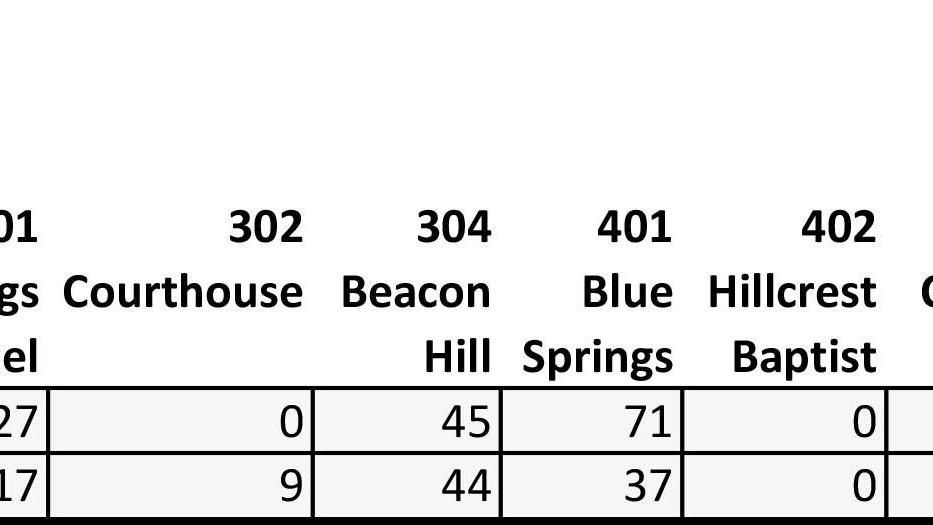 Goodwin wins county school board seat following runoff this past Tuesday